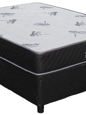 Double Prince bamboo